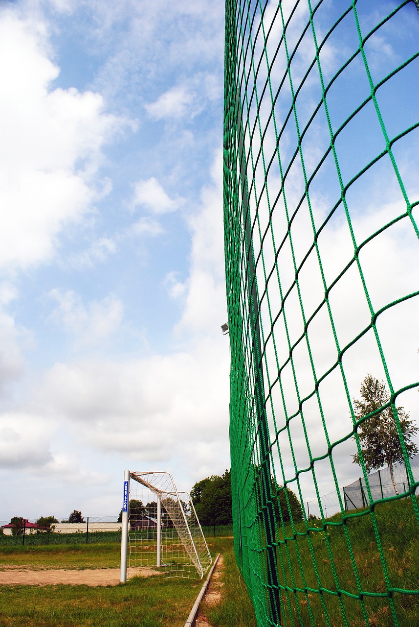 择合适的在 择合适的在