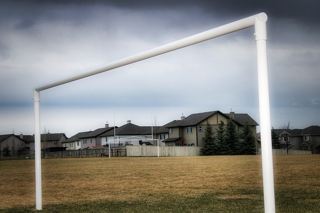 技或许需要 技或许需要