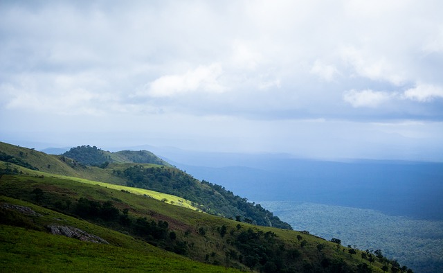 评价莱万多 评价莱万多