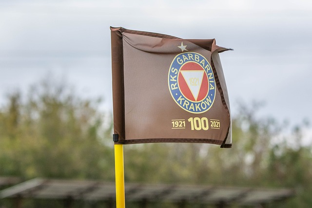 森林狼的教 森林狼的教